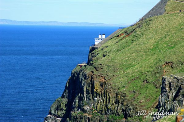 West Light