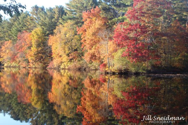 Enders Island and Autumn Serenade - Image 2
