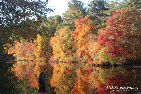 Enders Island and Autumn Serenade - Image 9