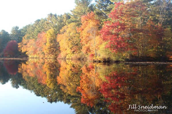 Enders Island and Autumn Serenade - Image 3
