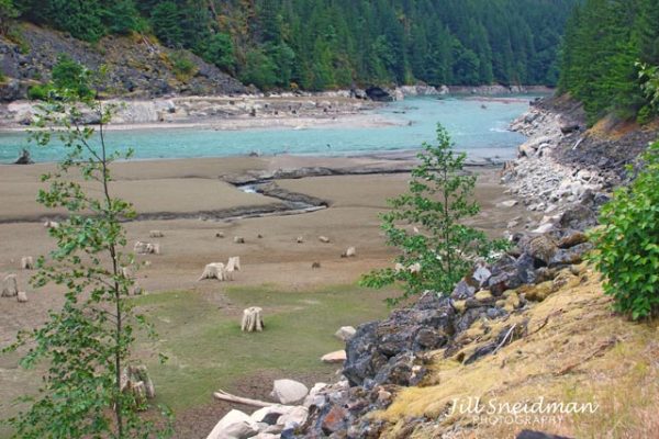 PACIFIC NW & VANCOUVER - Image 2