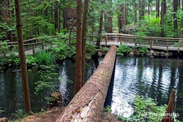 PACIFIC NW & VANCOUVER - Image 24