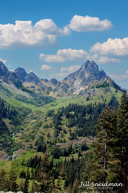 Mountain's Majesty